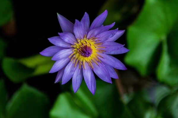 G5e872ada07afcdb1287e2c15394a4a914cd94a449780ce4e10d8fb0c3c3a927d1d0c2973d9957e6d620c6bcee166bcbaa27b7e453fefb1d7b2ca262a008a271f 640