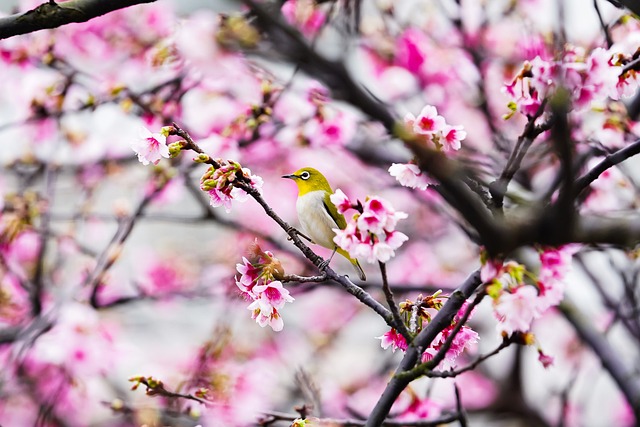 G8ed32529c9dd28453f5921e30c1a96f67864b13e0e916c622846196df937f21371d37188b5edf00fccbf97772dfed8a7901ae8c247e779226a0b014ff72a2d71 640