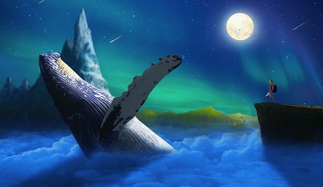 Gaf3a6e09c1cd3f25a726638b4f012fe77ce317e3e4f842c28a57f48a1fcf7ee9b4ea064f632254ed3fd6d7726aab2740531565deddeba6ed40fa075a7f0c5c24 640