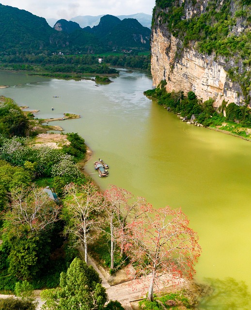 Image maxinepeakeashamlet.co.uk 316 1745986620561